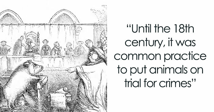 100 Pieces Of Morbid History For People Who Can’t Look Away From Creepy Facts