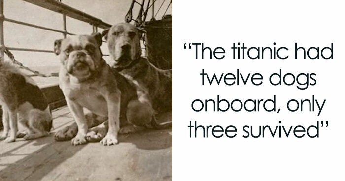 100 Pieces Of Morbid History For People Who Can’t Look Away From Creepy Facts