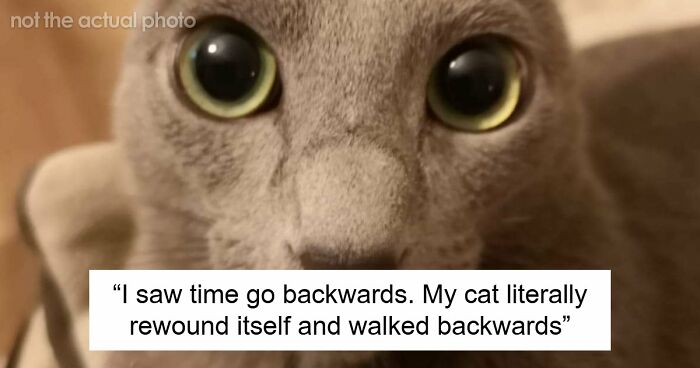 “The Most Terrifying Thing”: 55 Experiences People Swear They Went Through But Nobody Believes