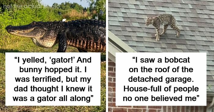 “The Most Terrifying Thing”: 55 Experiences People Swear They Went Through But Nobody Believes