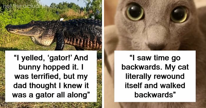 “The Most Terrifying Thing”: 55 Experiences People Swear They Went Through But Nobody Believes