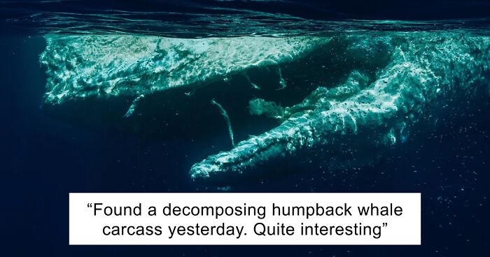 63 Uncomfortable Water Pics That Make You Feel Small In The Worst Way (New Pics)