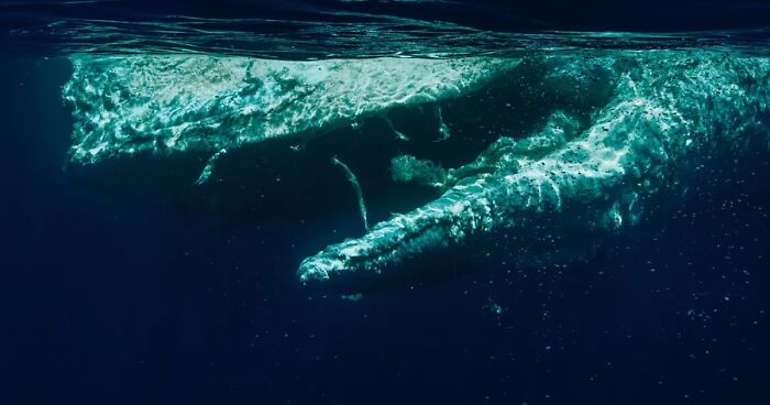 63 Uncomfortable Water Pics That Make You Feel Small In The Worst Way (New Pics)