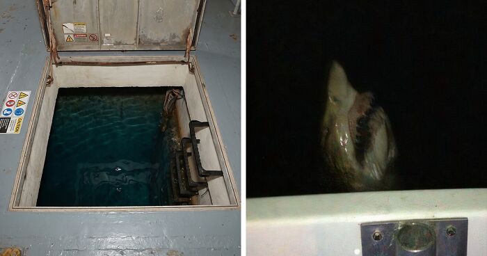 63 Uncomfortable Water Pics That Make You Feel Small In The Worst Way (New Pics)
