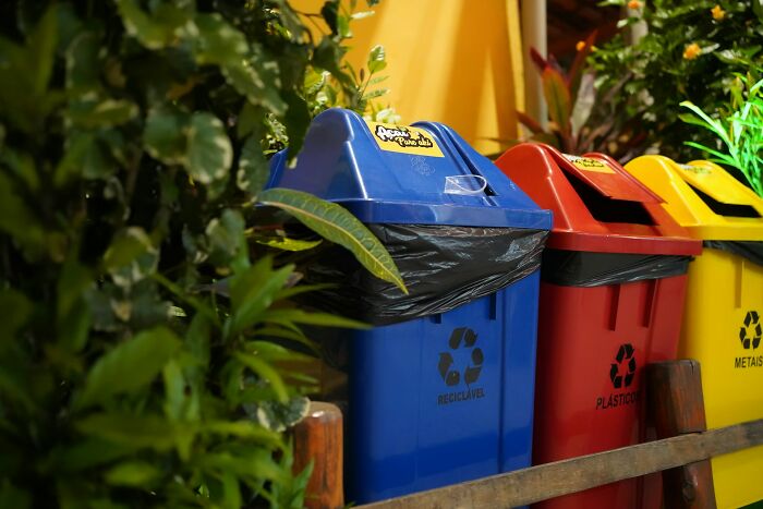 Colorful recycle bins (blue, red, yellow) for waste sorting, emphasizing environmental practices, relevant to fascinating facts.
