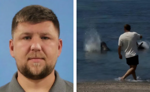 Entitled Tourist Who Threw A Rock At Beloved Hawaiian Seal Before Yelling 'I'm Rich' Officially Charged