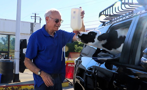 Calf Hits The Jackpot When A Vermont Farmer Spared Him, But His Rescue Turned Into 600 Miles Of Pure Chaos