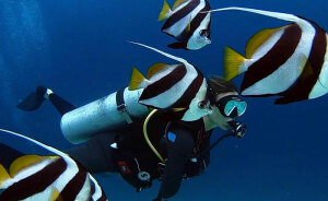 New Detail In Maldives Diving Tragedy Sparks Questions After Missing Tourists Found Inside “Shark Cave”