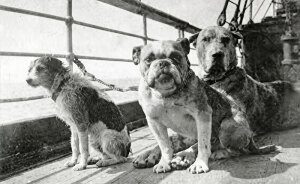 Eerie Titanic Detail Most People Never Knew Is Breaking Hearts All Over Again More Than A Century Later