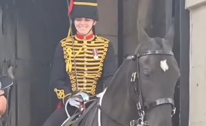 Female Soldier’s Horrific Passing After King Charles Performance Fuels Fresh Horse Show Scrutiny