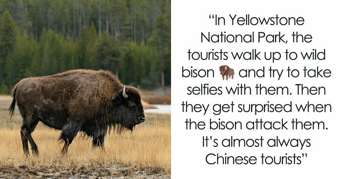35 Locals Open Up About Which Weird Habits Of Tourists Enrage Them The Most