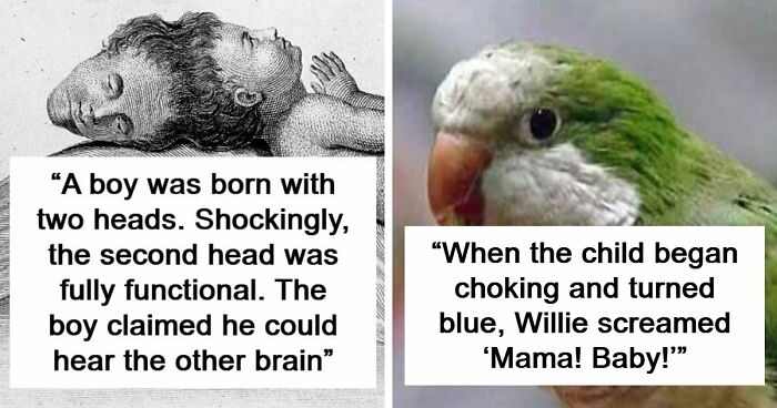 It’s Never Too Late To Learn, So Here Are 77 Curiosities That Make People Say, “Can’t Believe That’s Real” (New Pics)