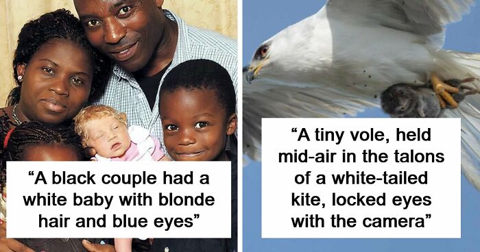 It’s Never Too Late To Learn, So Here Are 77 Curiosities That Make People Say, “Can’t Believe That’s Real” (New Pics)