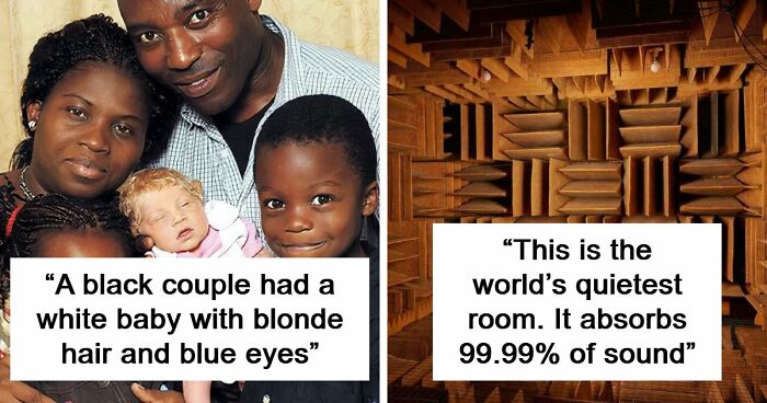 It’s Never Too Late To Learn, So Here Are 77 Curiosities That Make People Say, “Can’t Believe That’s Real” (New Pics)