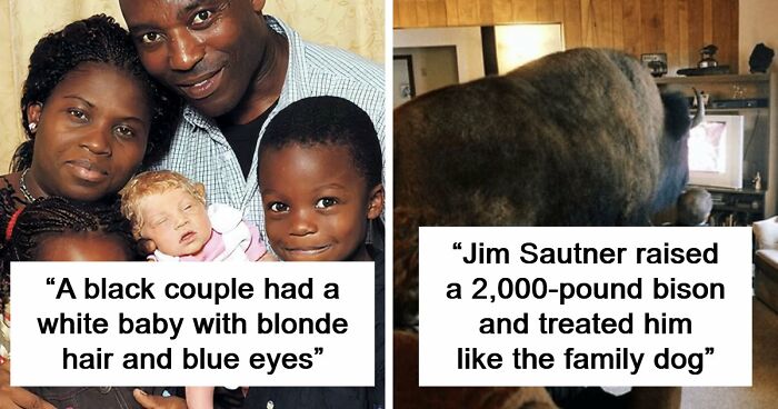 It’s Never Too Late To Learn, So Here Are 77 Curiosities That Make People Say, “Can’t Believe That’s Real” (New Pics)