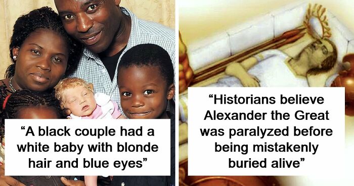 It’s Never Too Late To Learn, So Here Are 77 Curiosities That Make People Say, “Can’t Believe That’s Real” (New Pics)