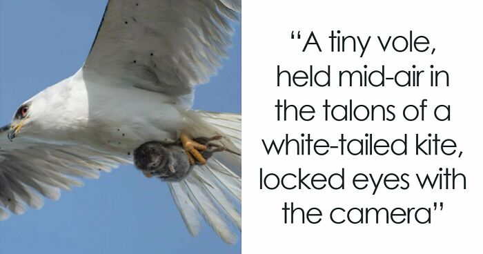 It’s Never Too Late To Learn, So Here Are 77 Curiosities That Make People Say, “Can’t Believe That’s Real” (New Pics)