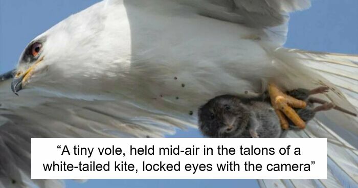 It’s Never Too Late To Learn, So Here Are 77 Curiosities That Make People Say, “Can’t Believe That’s Real” (New Pics)