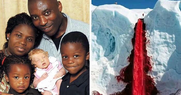 It’s Never Too Late To Learn, So Here Are 77 Curiosities That Make People Say, “Can’t Believe That’s Real” (New Pics)