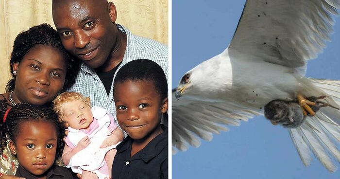 It’s Never Too Late To Learn, So Here Are 77 Curiosities That Make People Say, “Can’t Believe That’s Real” (New Pics)