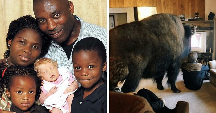 It’s Never Too Late To Learn, So Here Are 77 Curiosities That Make People Say, “Can’t Believe That’s Real” (New Pics)