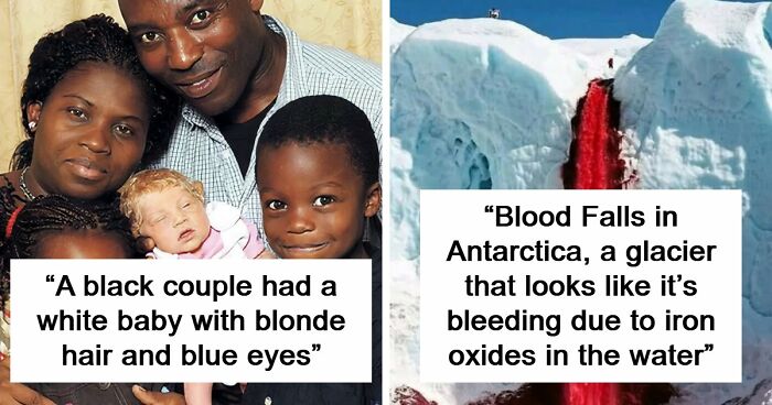 It’s Never Too Late To Learn, So Here Are 77 Curiosities That Make People Say, “Can’t Believe That’s Real” (New Pics)