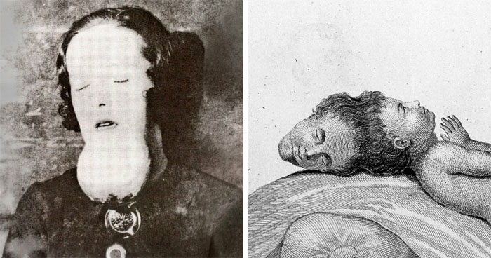 It’s Never Too Late To Learn, So Here Are 77 Curiosities That Make People Say, “Can’t Believe That’s Real” (New Pics)