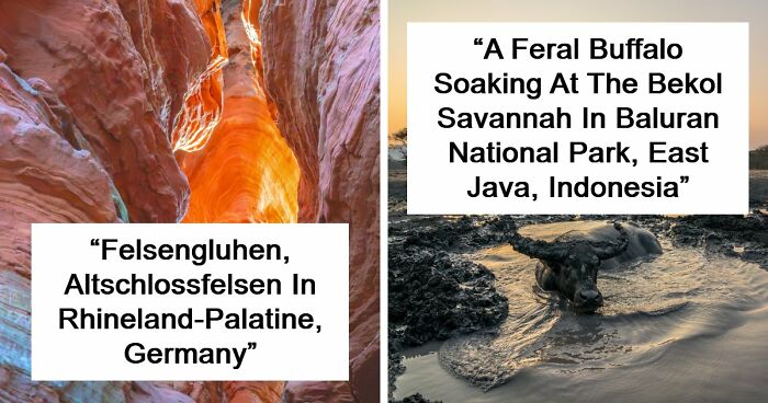 61 Stunning Views That Feel Like They Belong In Completely Different Parts Of The World