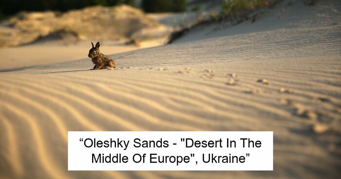 61 Stunning Views That Feel Like They Belong In Completely Different Parts Of The World
