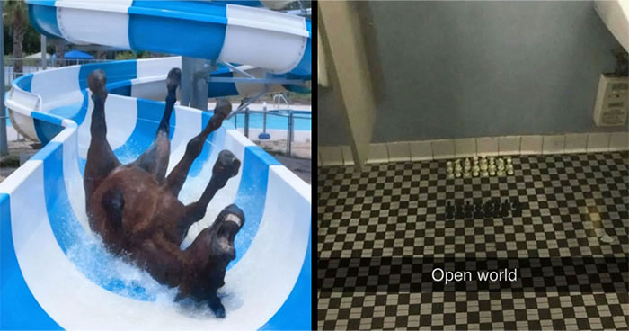 89 Random Images That Make Absolutely No Sense And Are Weird As Hell