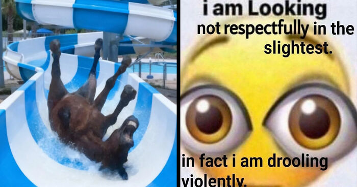 89 Random Images That Make Absolutely No Sense And Are Weird As Hell