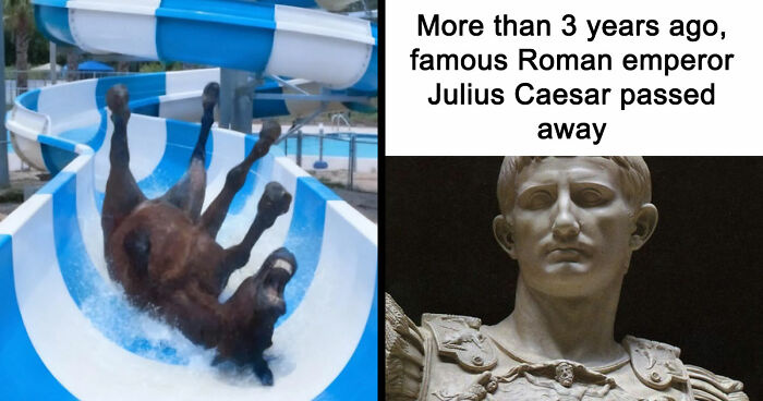 89 Random Images That Make Absolutely No Sense And Are Weird As Hell