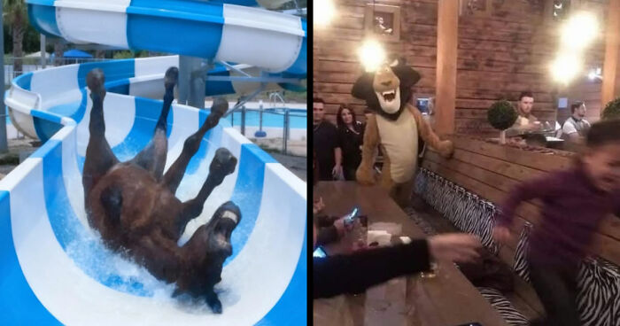 89 Random Images That Make Absolutely No Sense And Are Weird As Hell
