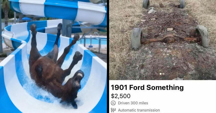 89 Random Images That Make Absolutely No Sense And Are Weird As Hell