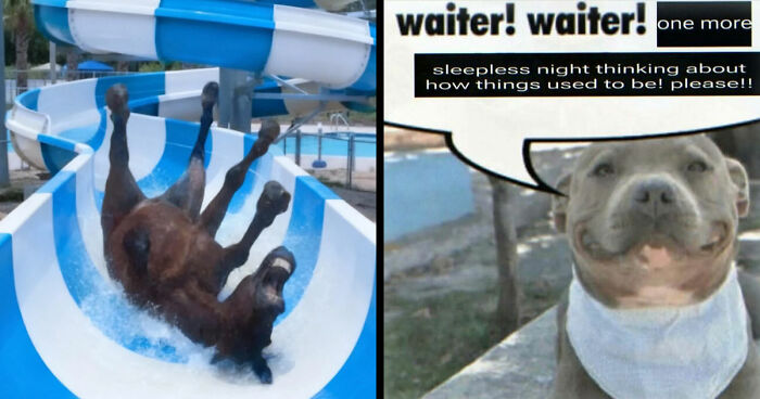 89 Random Images That Make Absolutely No Sense And Are Weird As Hell