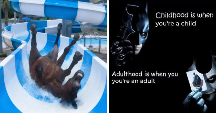 89 Random Images That Make Absolutely No Sense And Are Weird As Hell