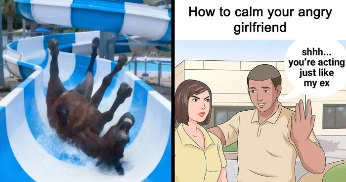 89 Random Images That Make Absolutely No Sense And Are Weird As Hell