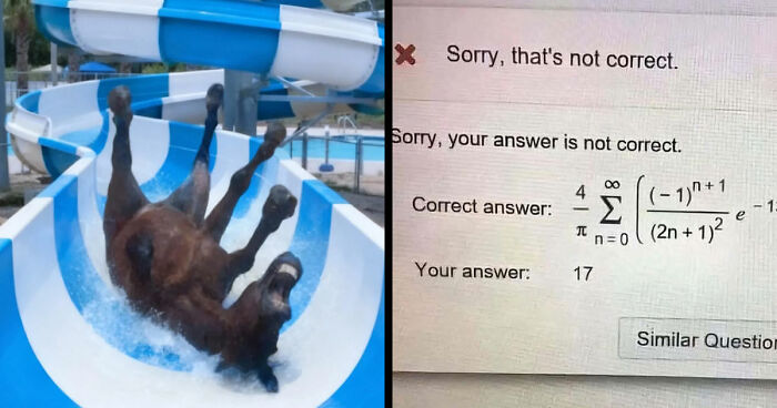 89 Random Images That Make Absolutely No Sense And Are Weird As Hell