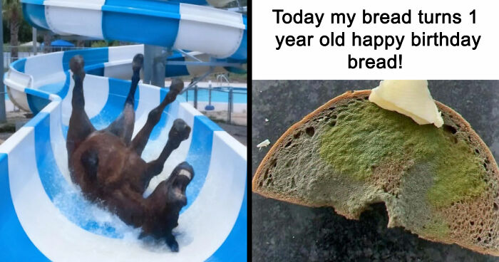 89 Random Images That Make Absolutely No Sense And Are Weird As Hell
