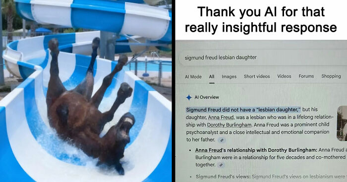 89 Random Images That Make Absolutely No Sense And Are Weird As Hell