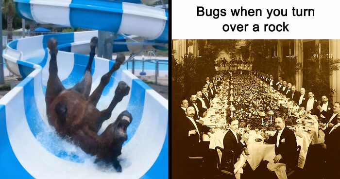 89 Random Images That Make Absolutely No Sense And Are Weird As Hell