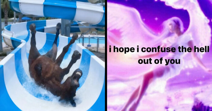 89 Random Images That Make Absolutely No Sense And Are Weird As Hell