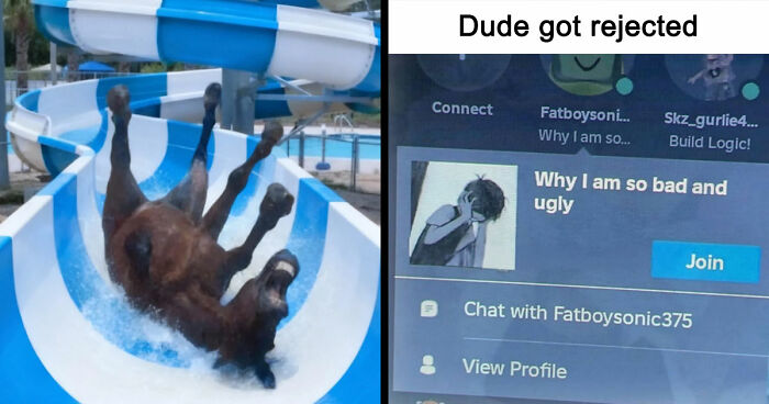 89 Random Images That Make Absolutely No Sense And Are Weird As Hell