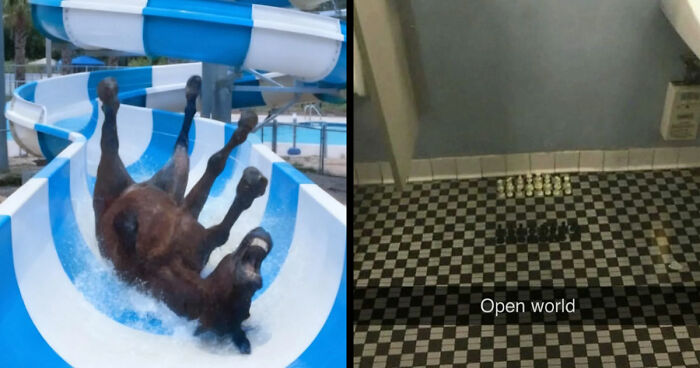 89 Random Images That Make Absolutely No Sense And Are Weird As Hell