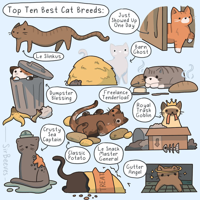30 Honest Comics About Growing Up, Self Discovery, And Everyday Awkwardness By Sir Beeves (New Pics)