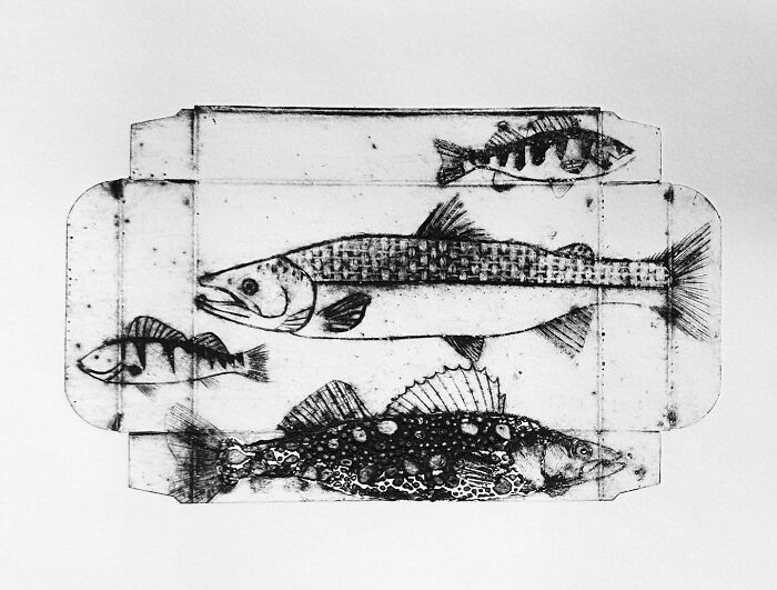 Fish Of Lake Erie
