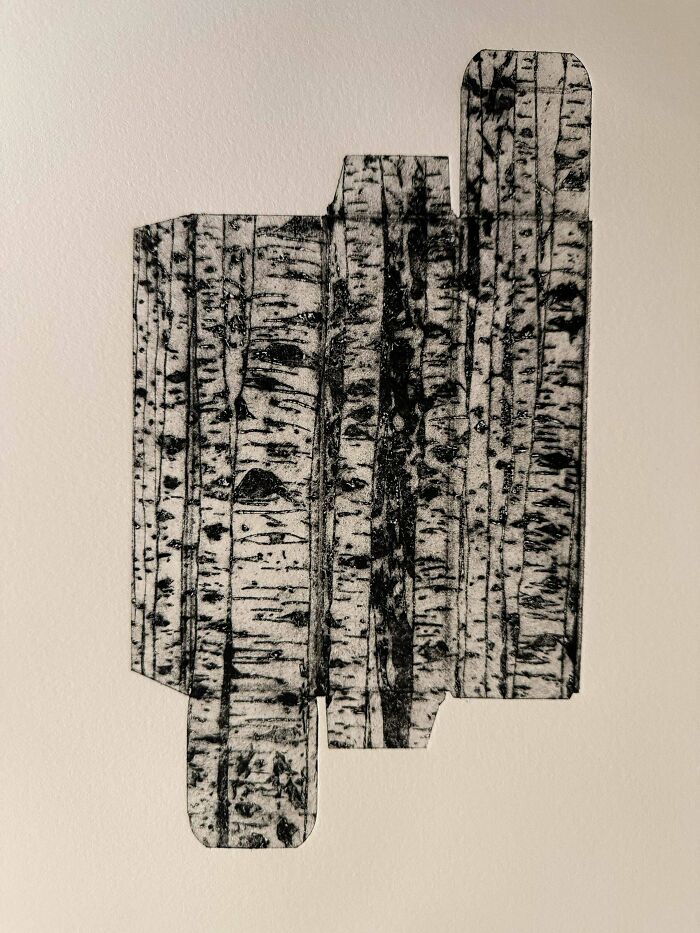 Layered Birch