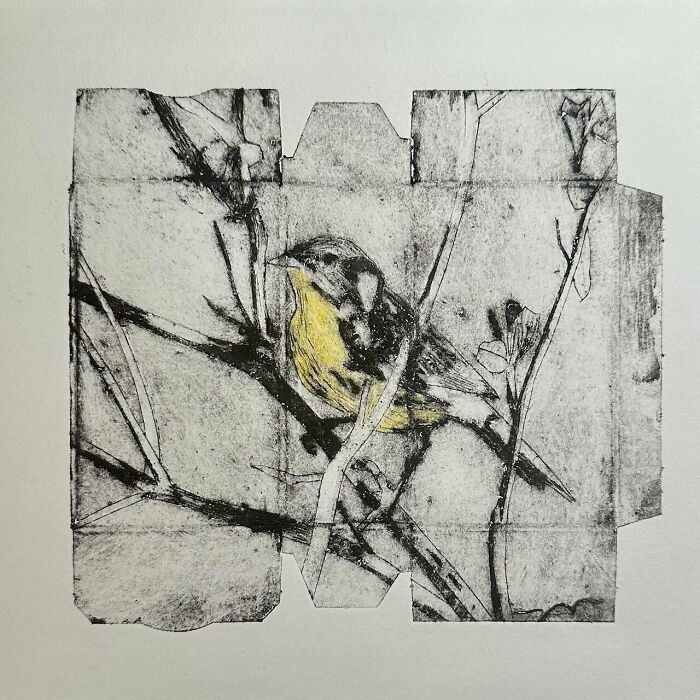 Magnolia Warbler
