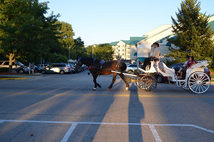 A horse-drawn carriage on a street with buildings and cars, showcasing US states.