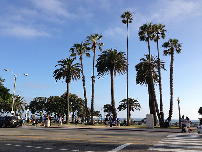Palm trees lining a sunny street near a beach with people walking, common in US states glorified in movies.